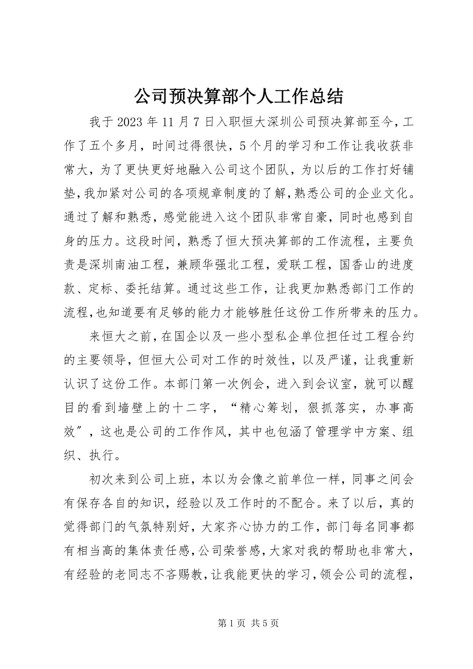 2023年公司预决算部个人工作总结.docx_第1页