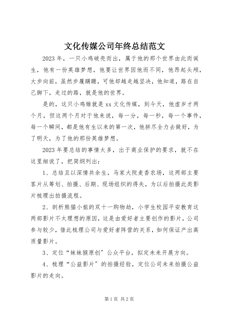 2023年文化传媒公司年终总结.docx_第1页