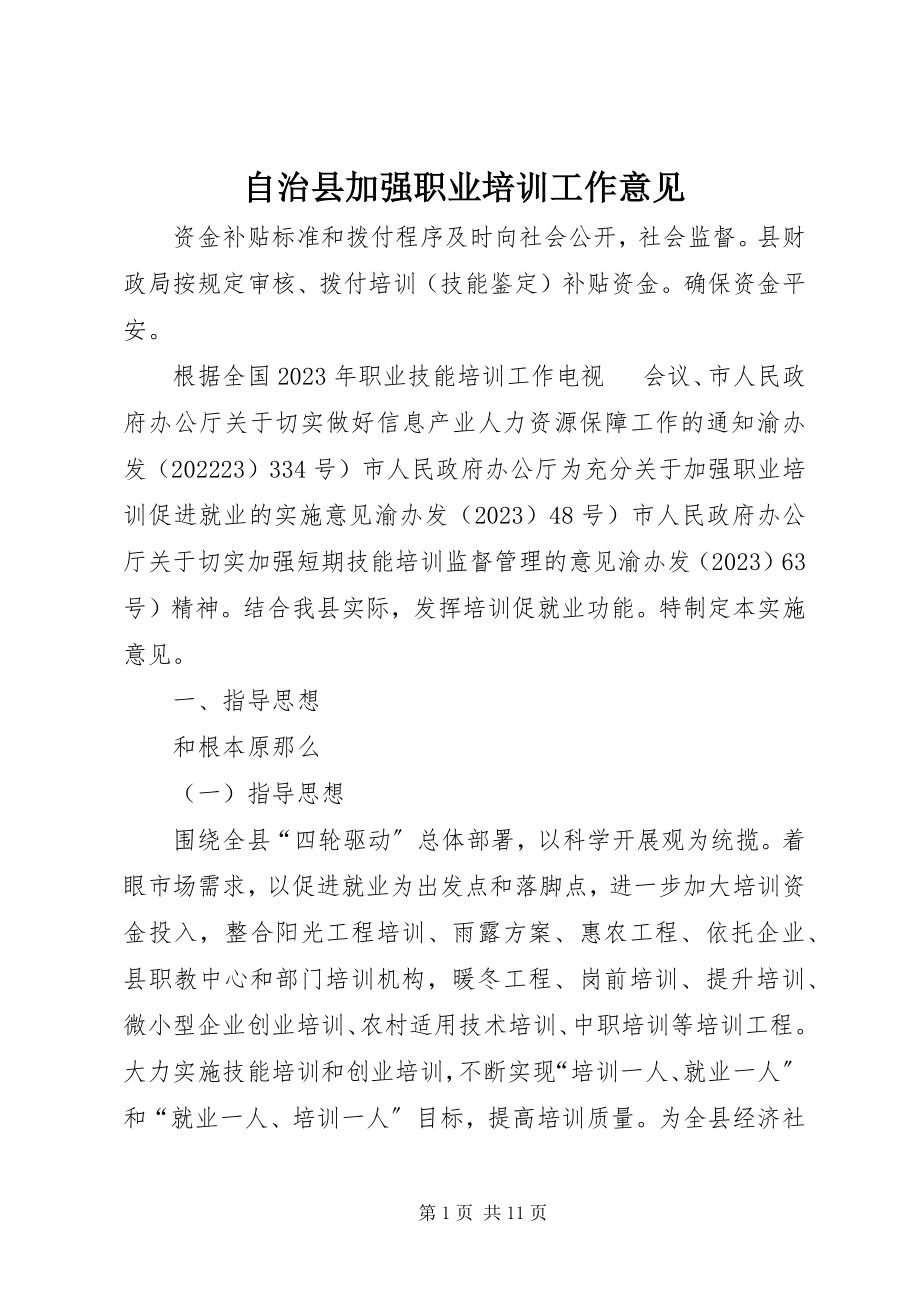 2023年自治县加强职业培训工作意见.docx_第1页