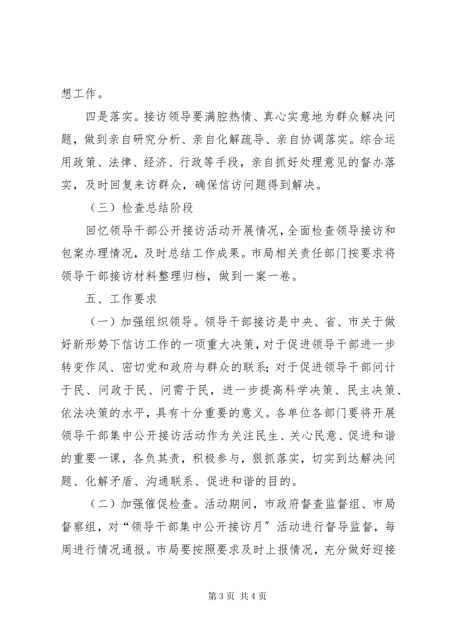 2023年工商局公开接访月实施方案.docx_第3页