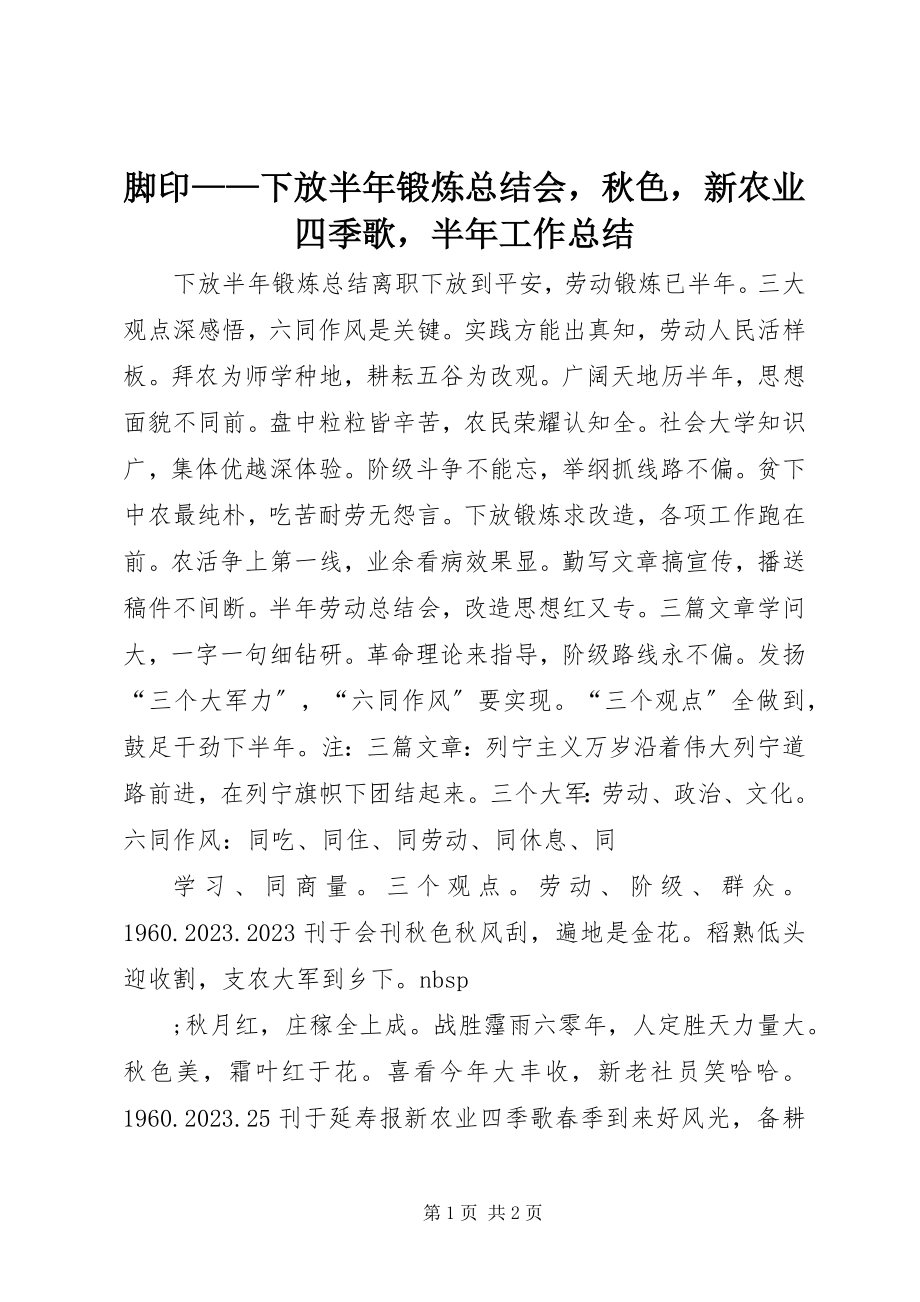 2023年脚印下放半锻炼总结会秋色新农业四季歌半工作总结.docx_第1页