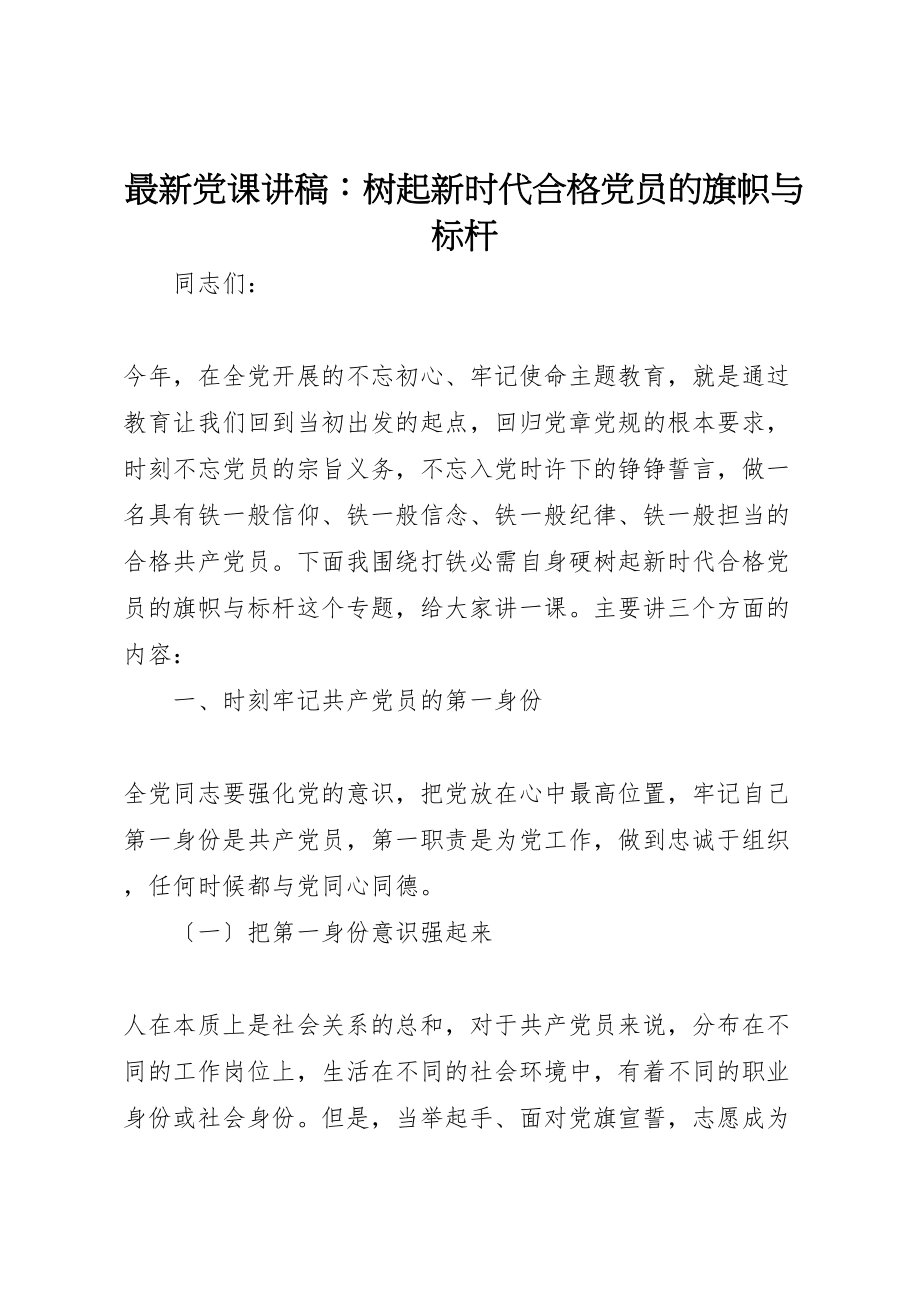 2023年党课讲稿树起新时代合格党员的旗帜与标杆.doc_第1页