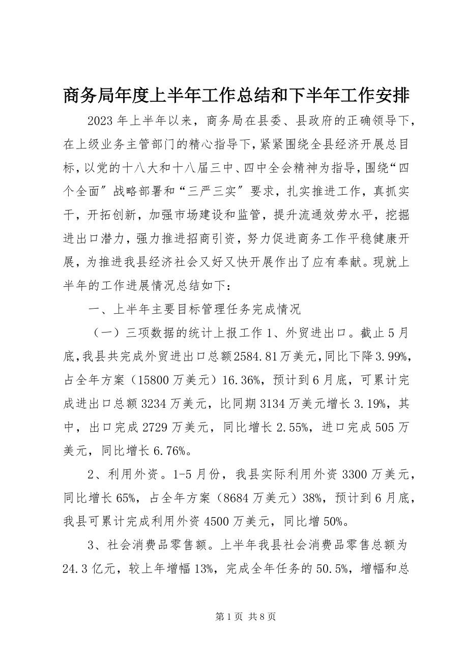 2023年商务局年度上半年工作总结和下半年工作安排.docx_第1页