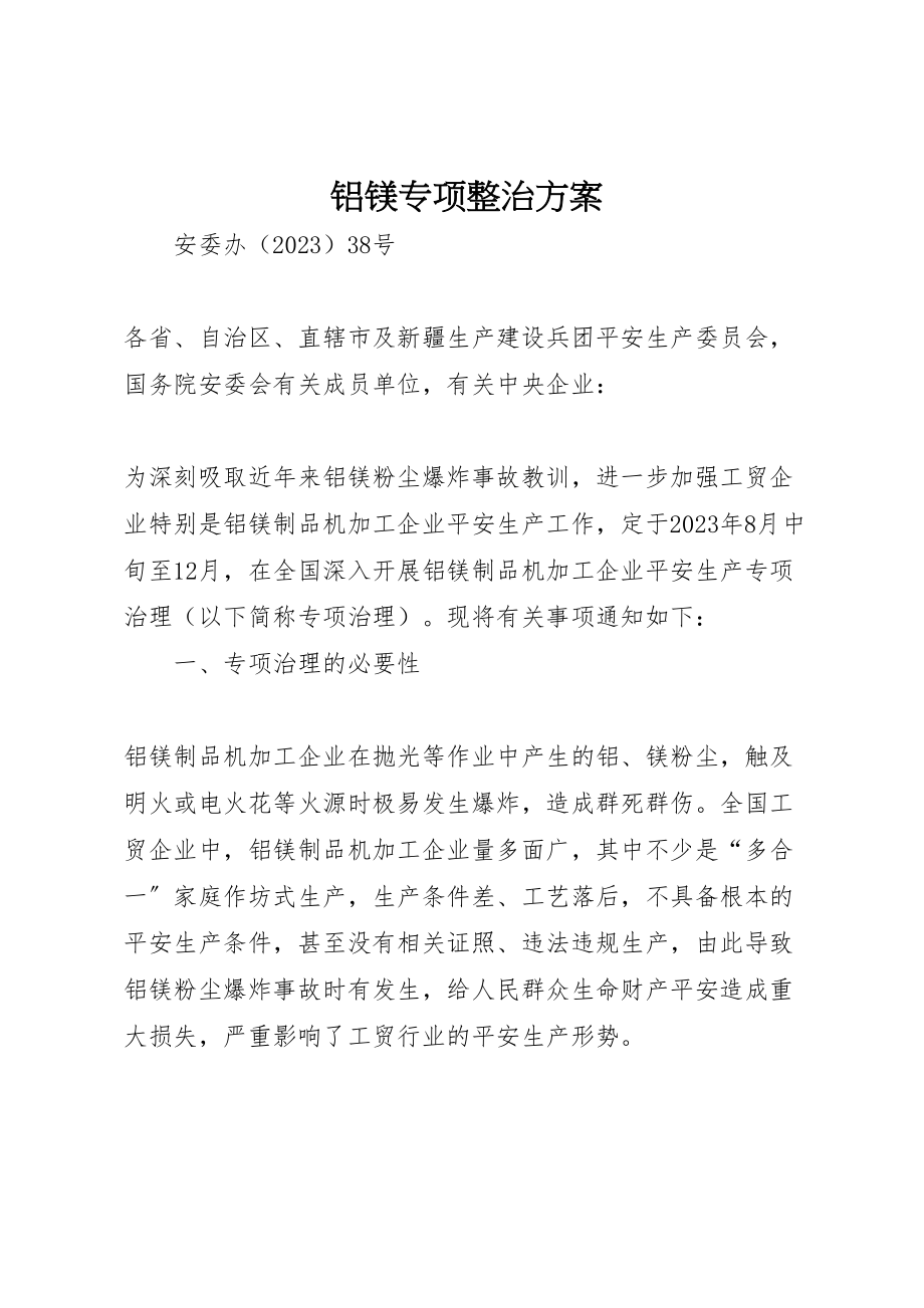 2023年铝镁专项整治方案.doc_第1页