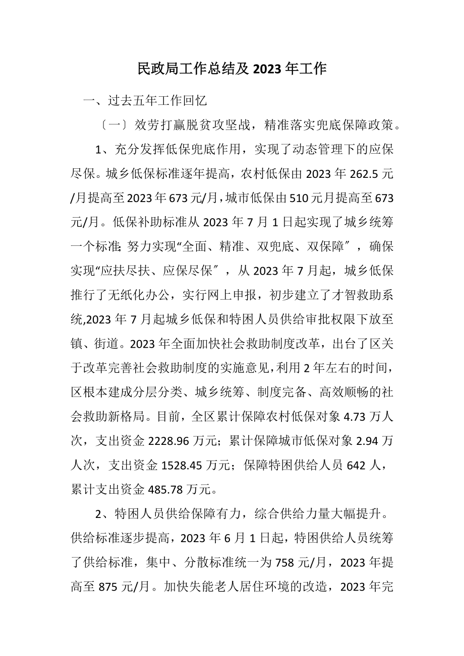 2023年民政局工作总结及2023年工作计划.docx_第1页