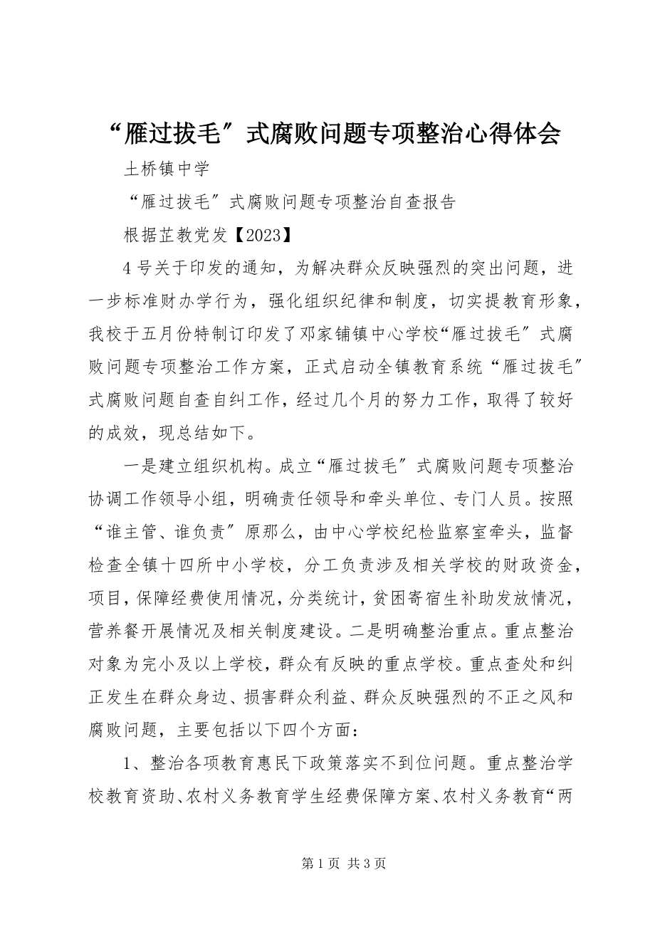 2023年雁过拔毛式腐败问题专项整治心得体会.docx_第1页