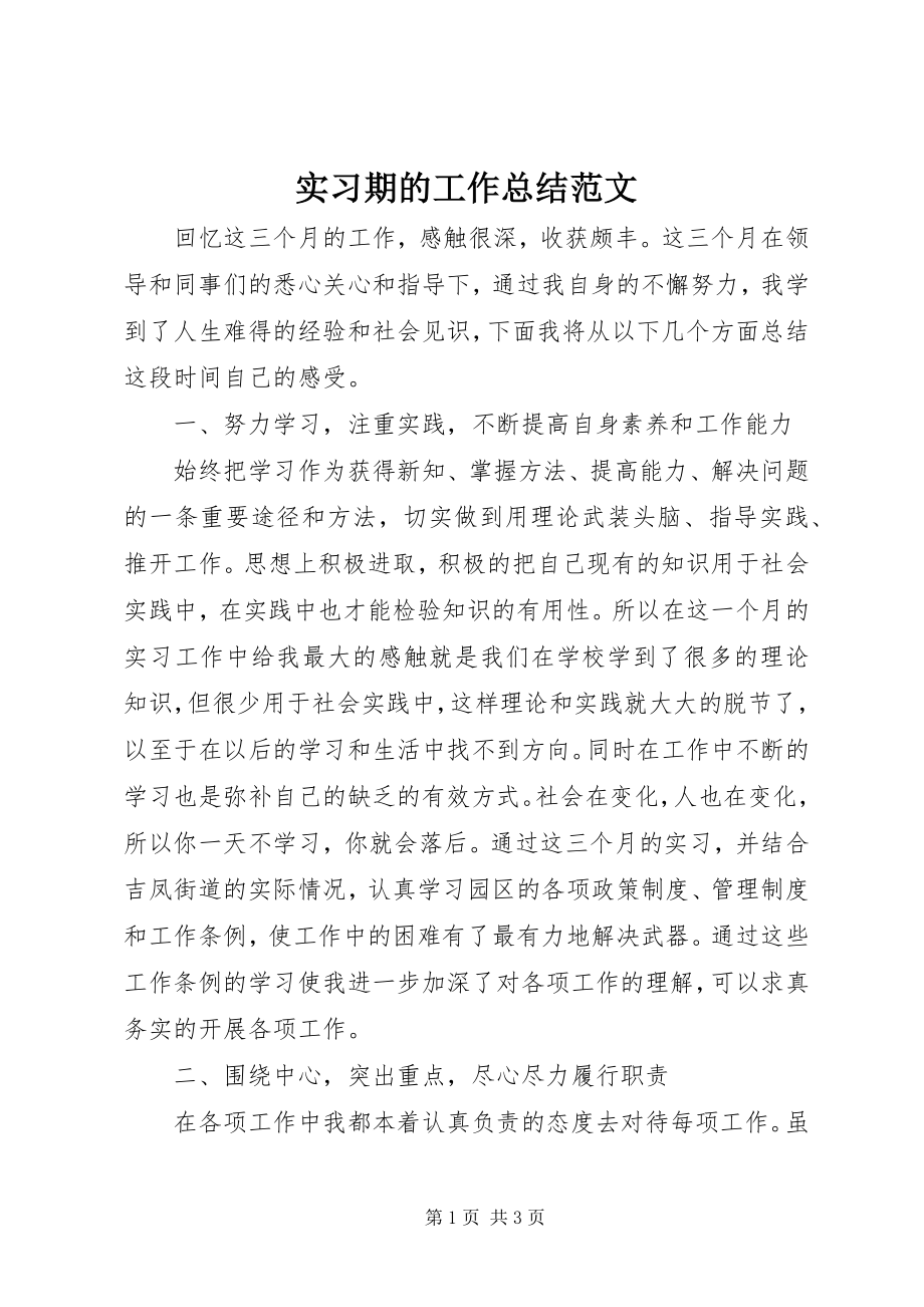 2023年实习期的工作总结.docx_第1页