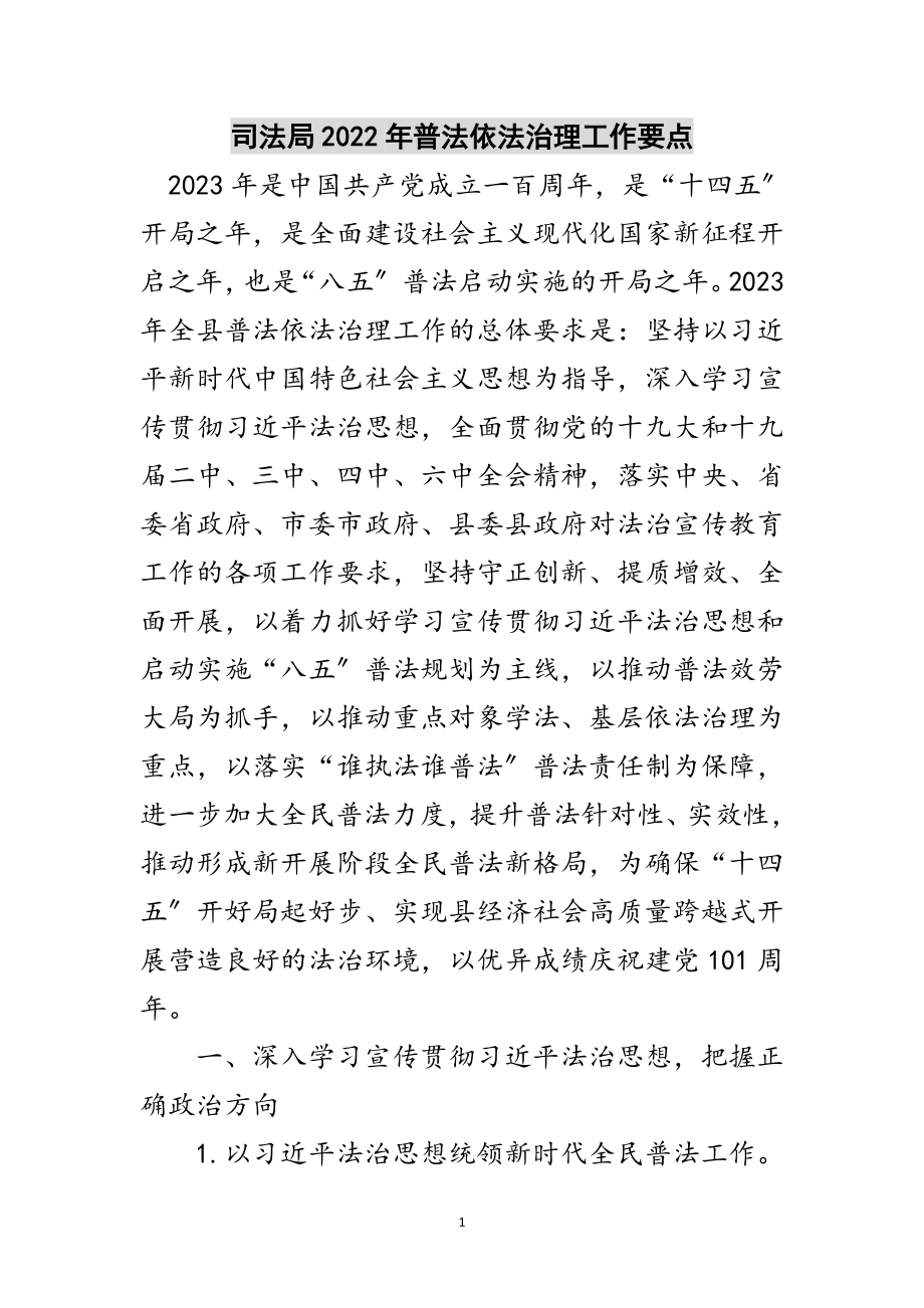 2023年司法局年普法依法治理工作要点范文.doc_第1页