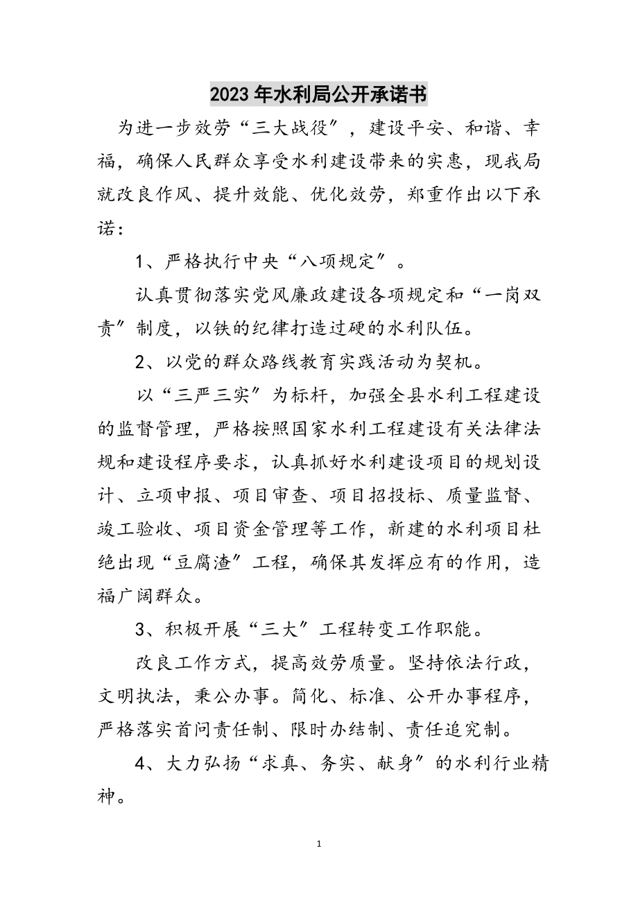 2023年年水利局公开承诺书范文.doc_第1页