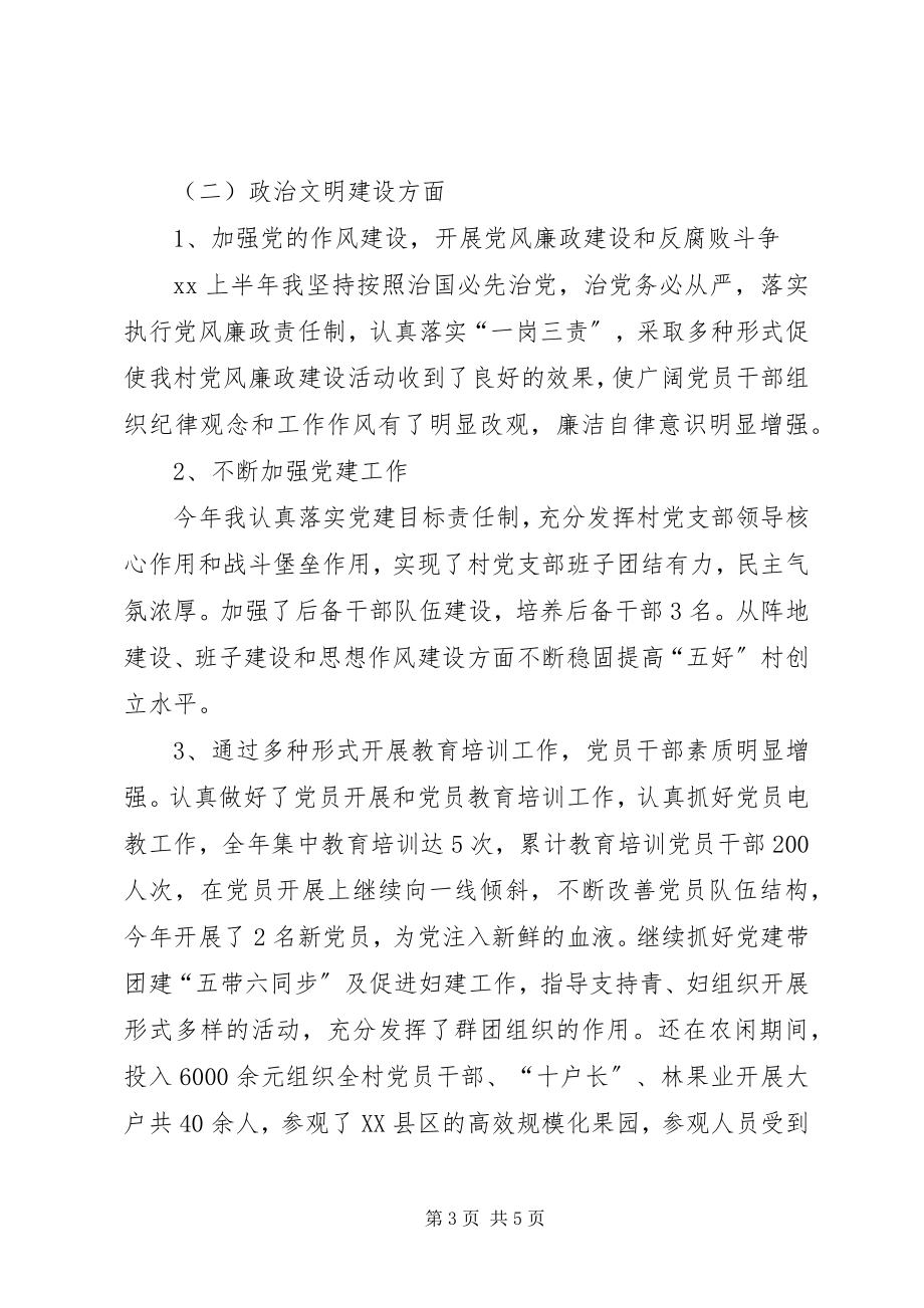 2023年上半年村党支部书记个人工作总结.docx_第3页