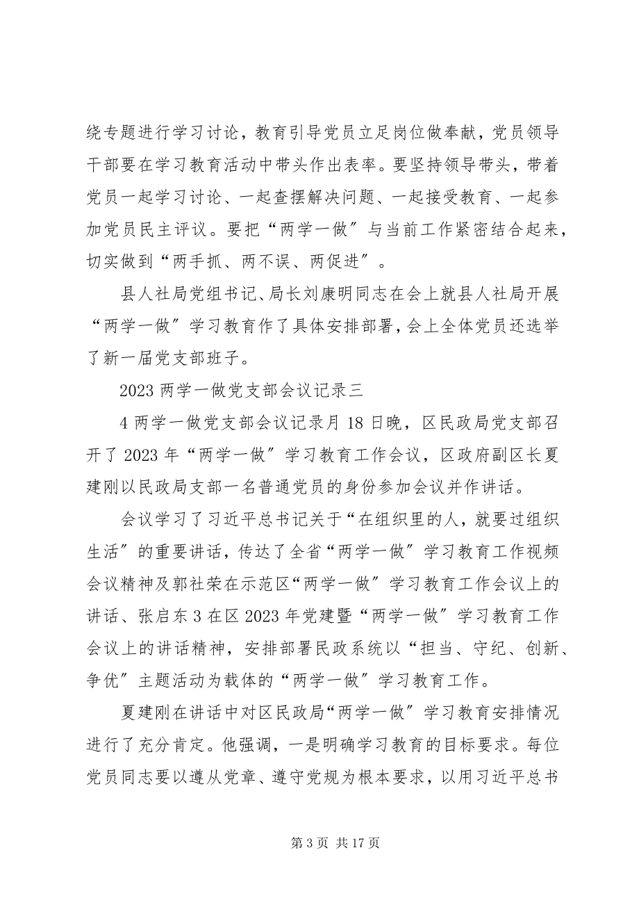 2023年入党支部会议记录党会会议记录.docx_第3页