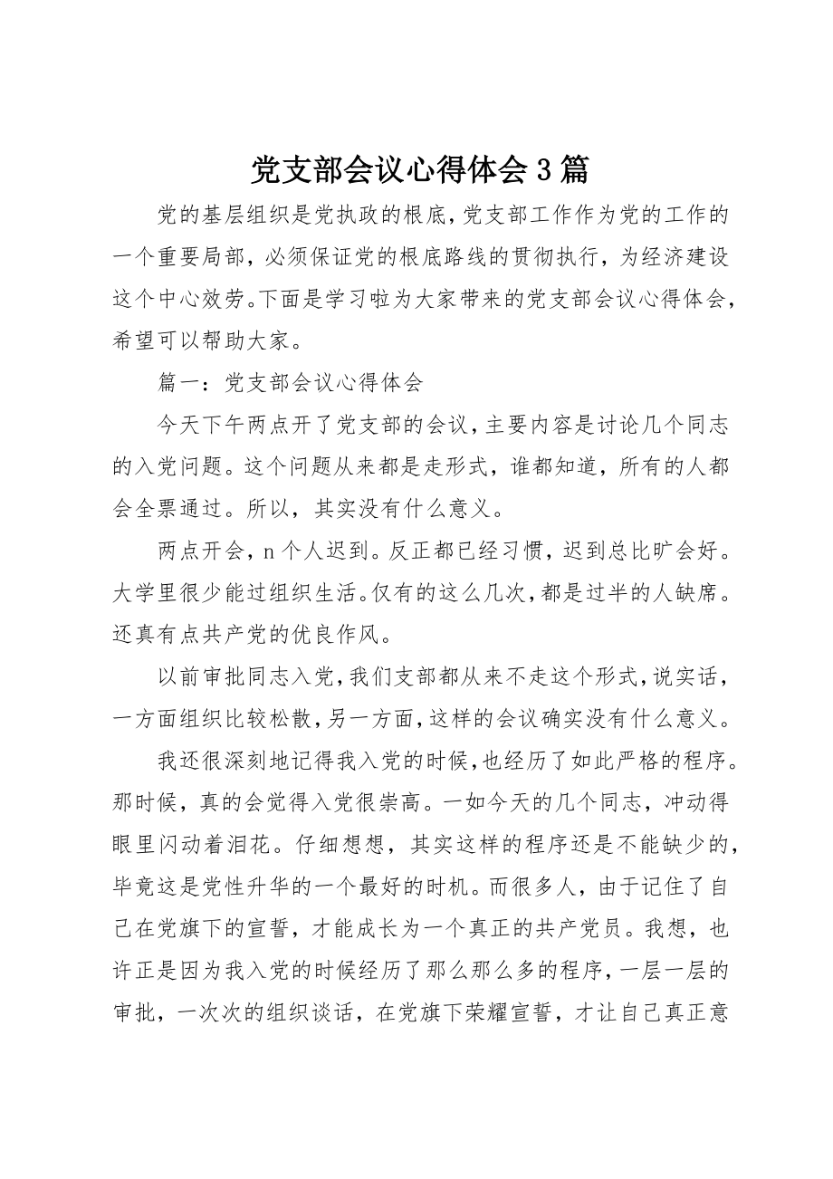 2023年党支部会议心得体会3篇.docx_第1页