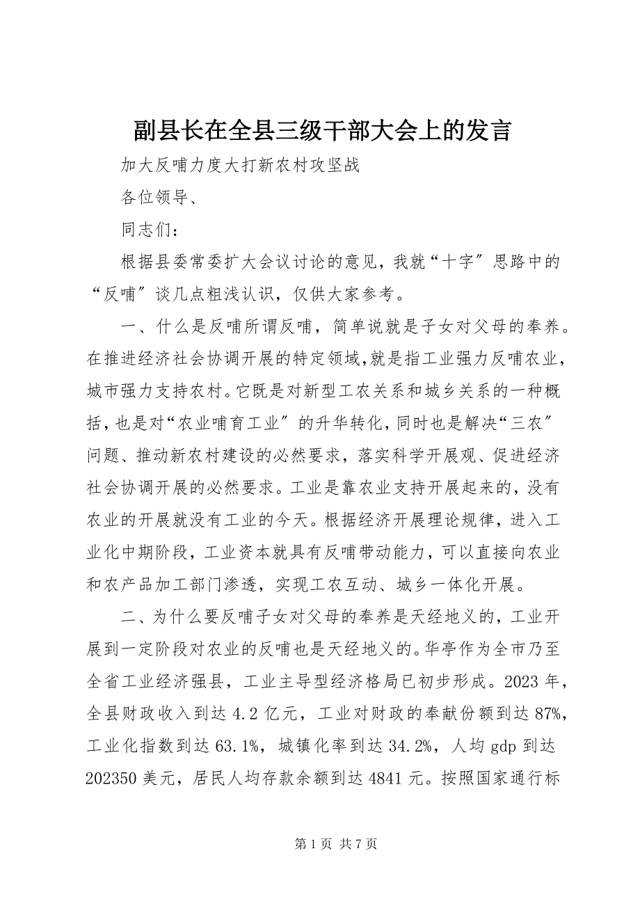 2023年副县长在全县三级干部大会上的讲话.docx_第1页