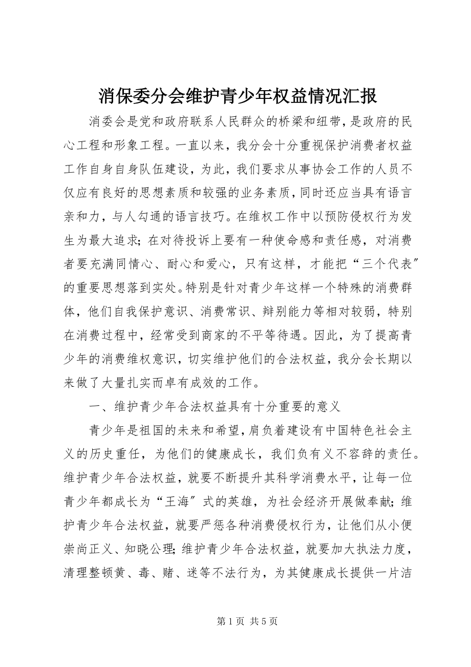 2023年消保委分会维护青少年权益情况汇报.docx_第1页