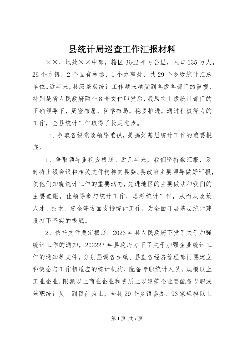 2023年县统计局巡查工作汇报材料.docx_第1页