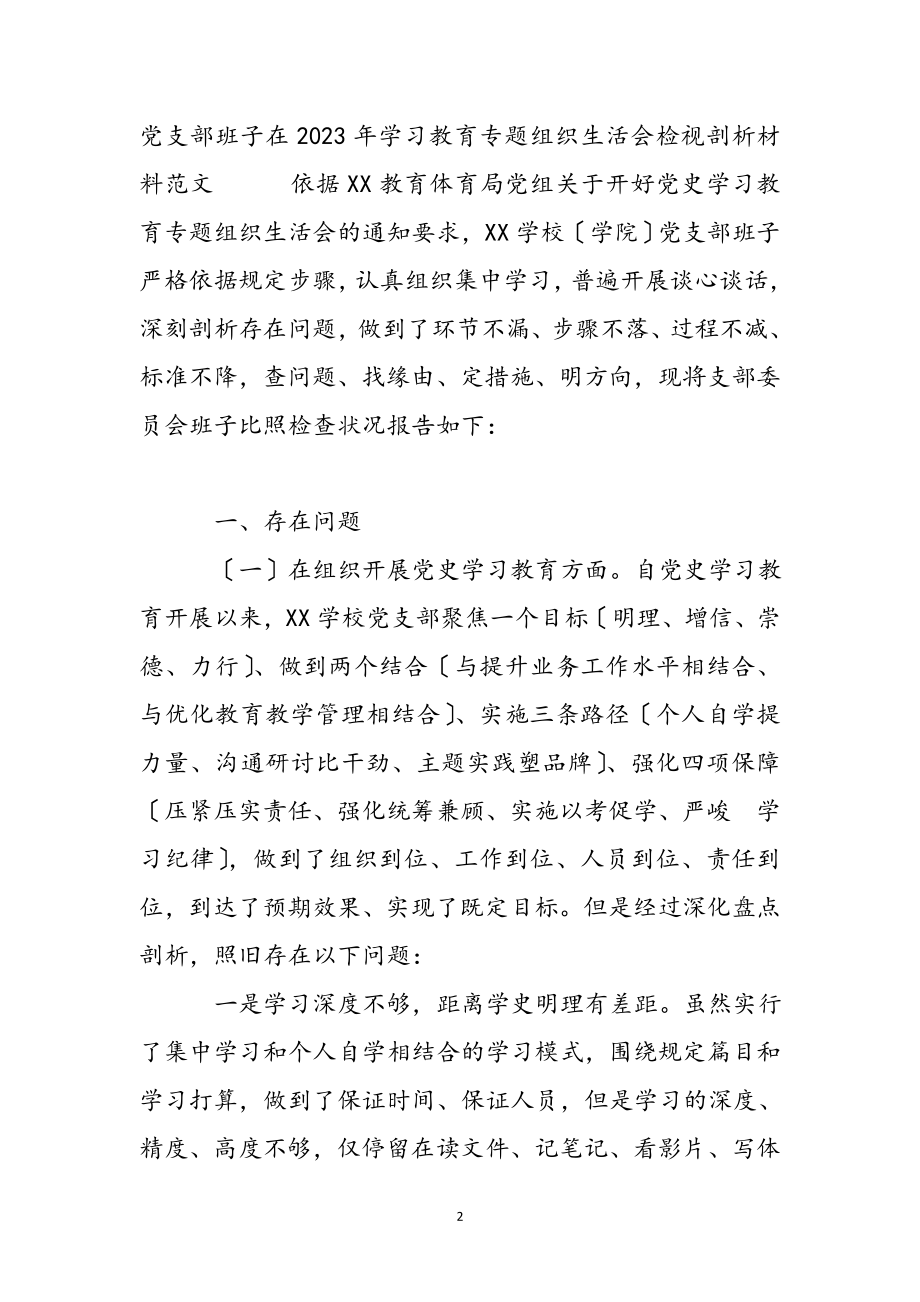 党支部班子在2023年学习教育专题组织生活会检视剖析材料.docx_第2页