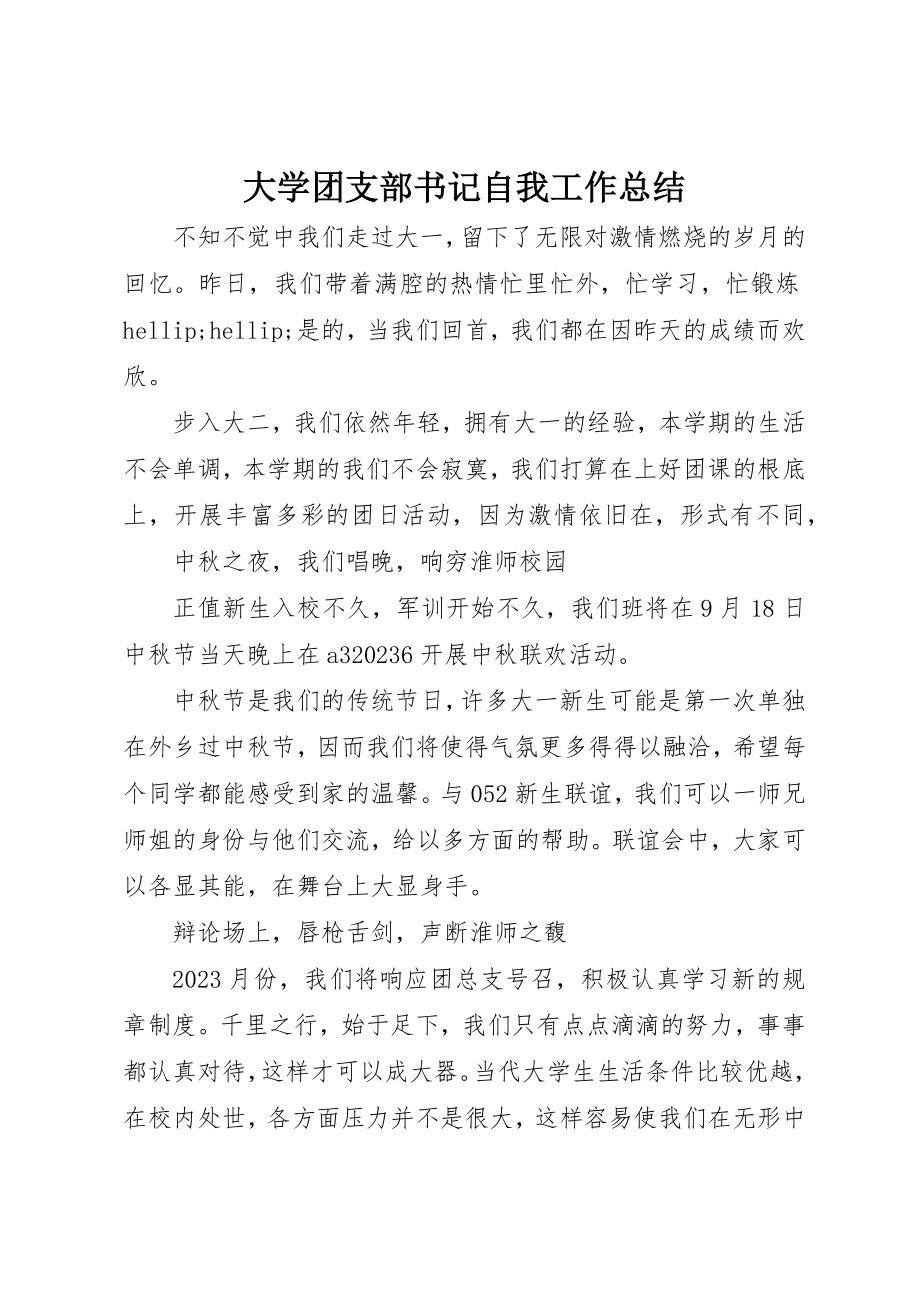 2023年大学团支部书记自我工作总结新编.docx_第1页