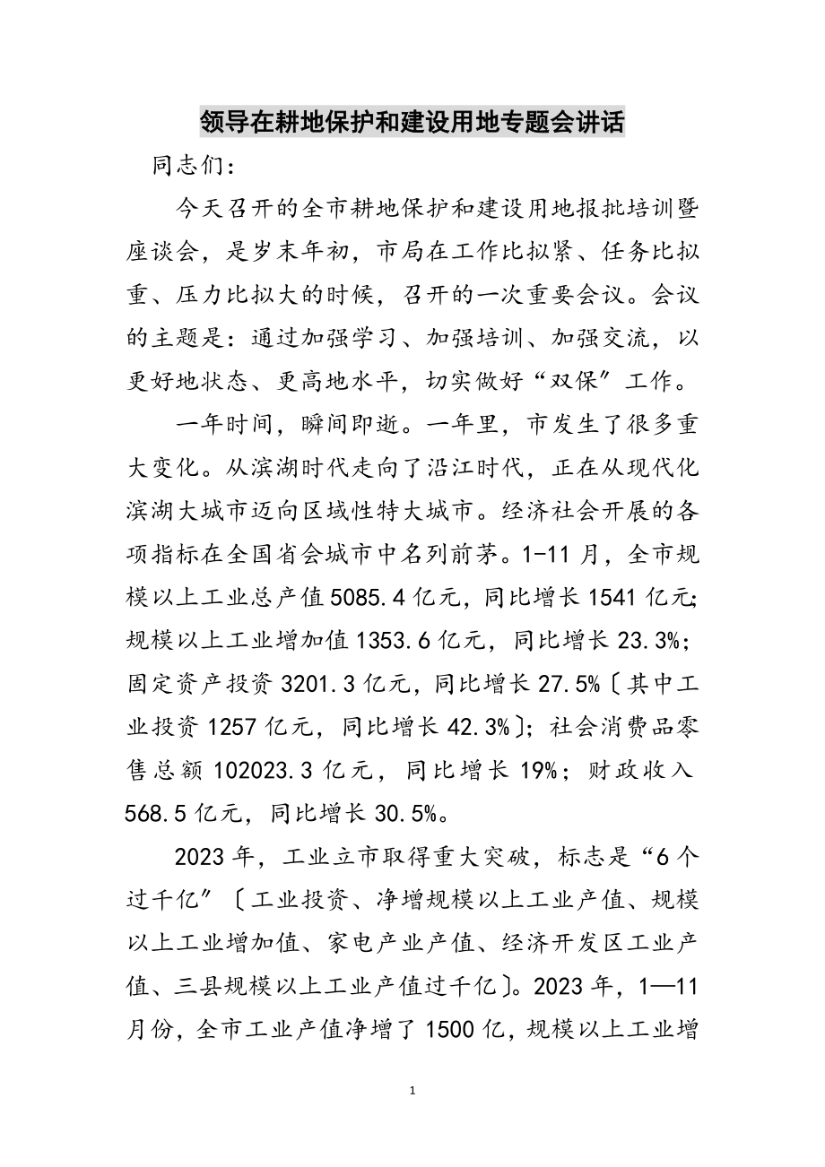 2023年领导在耕地保护和建设用地专题会讲话范文.doc_第1页