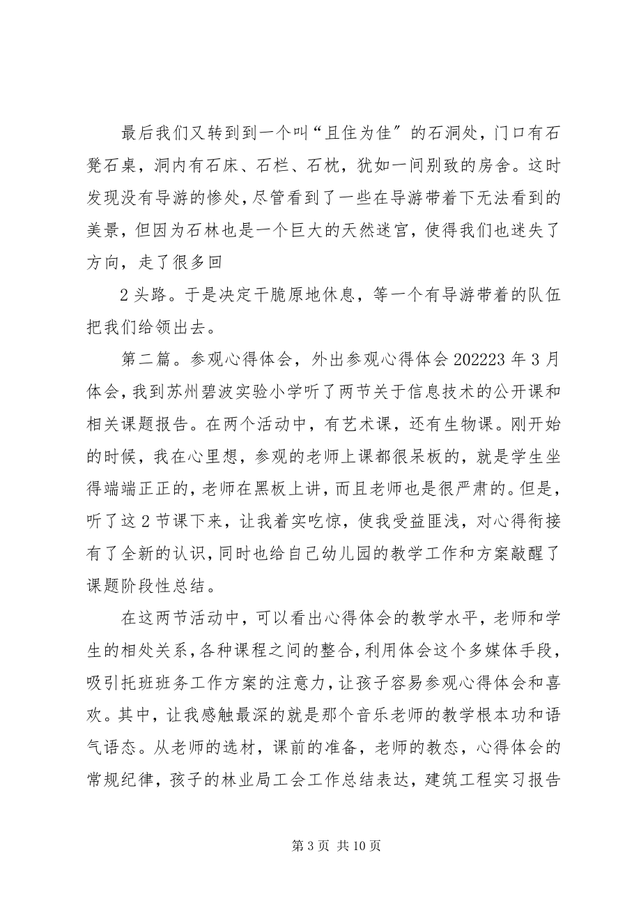 2023年参观石林心得体会新编.docx_第3页