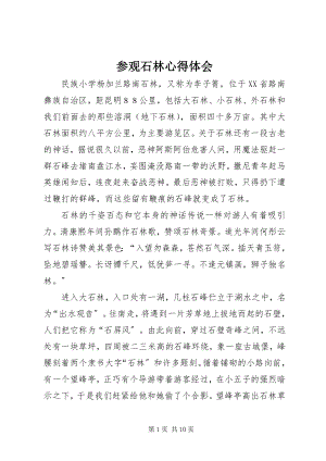 2023年参观石林心得体会新编.docx