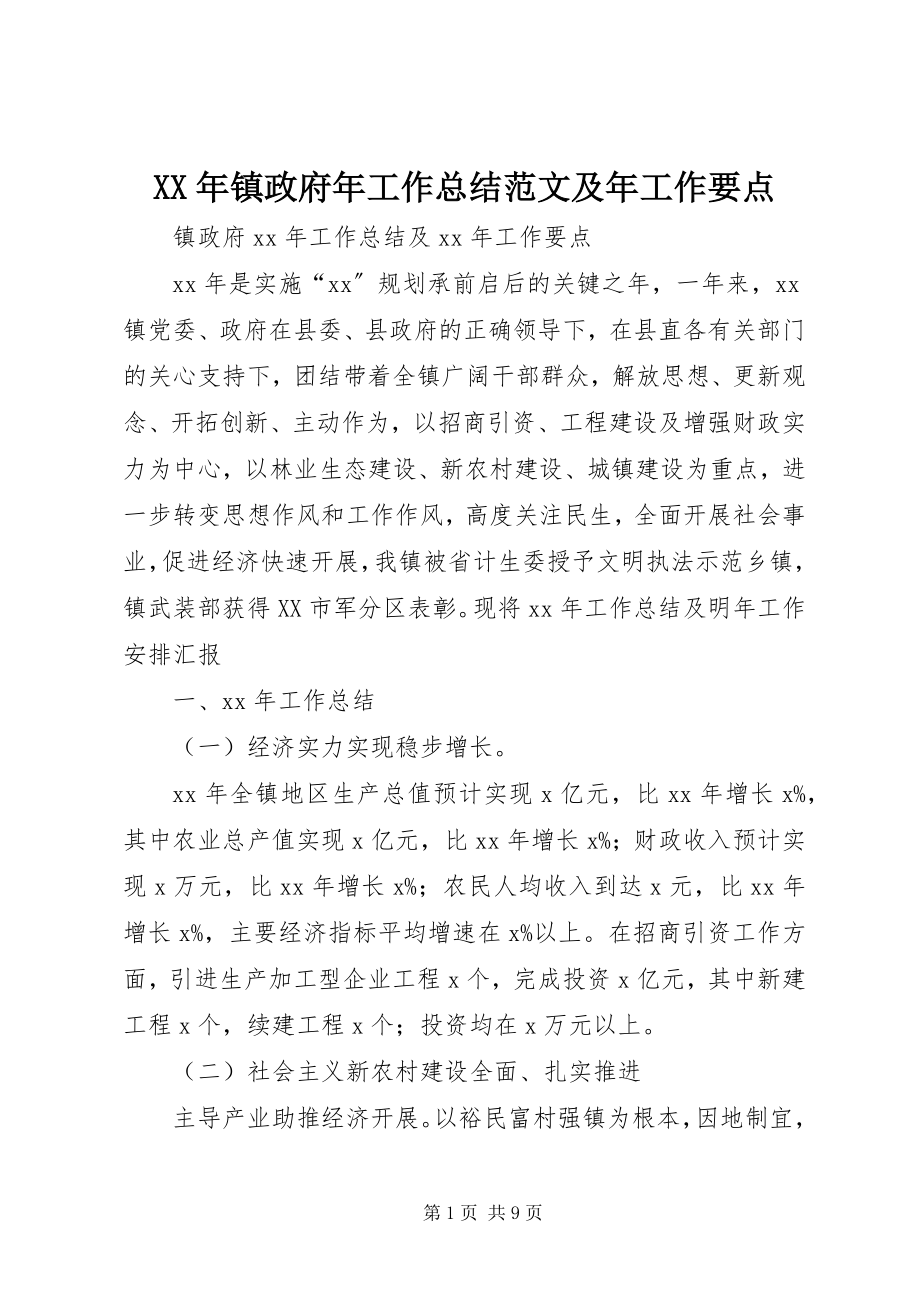 2023年镇政府年工作总结及年工作要点.docx_第1页