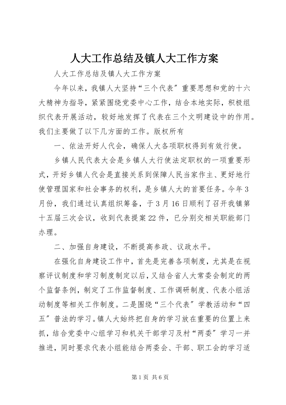 2023年人大工作总结及镇人大工作计划.docx_第1页