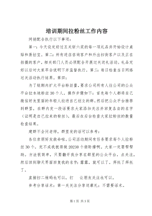 2023年培训期间拉粉丝工作内容.docx