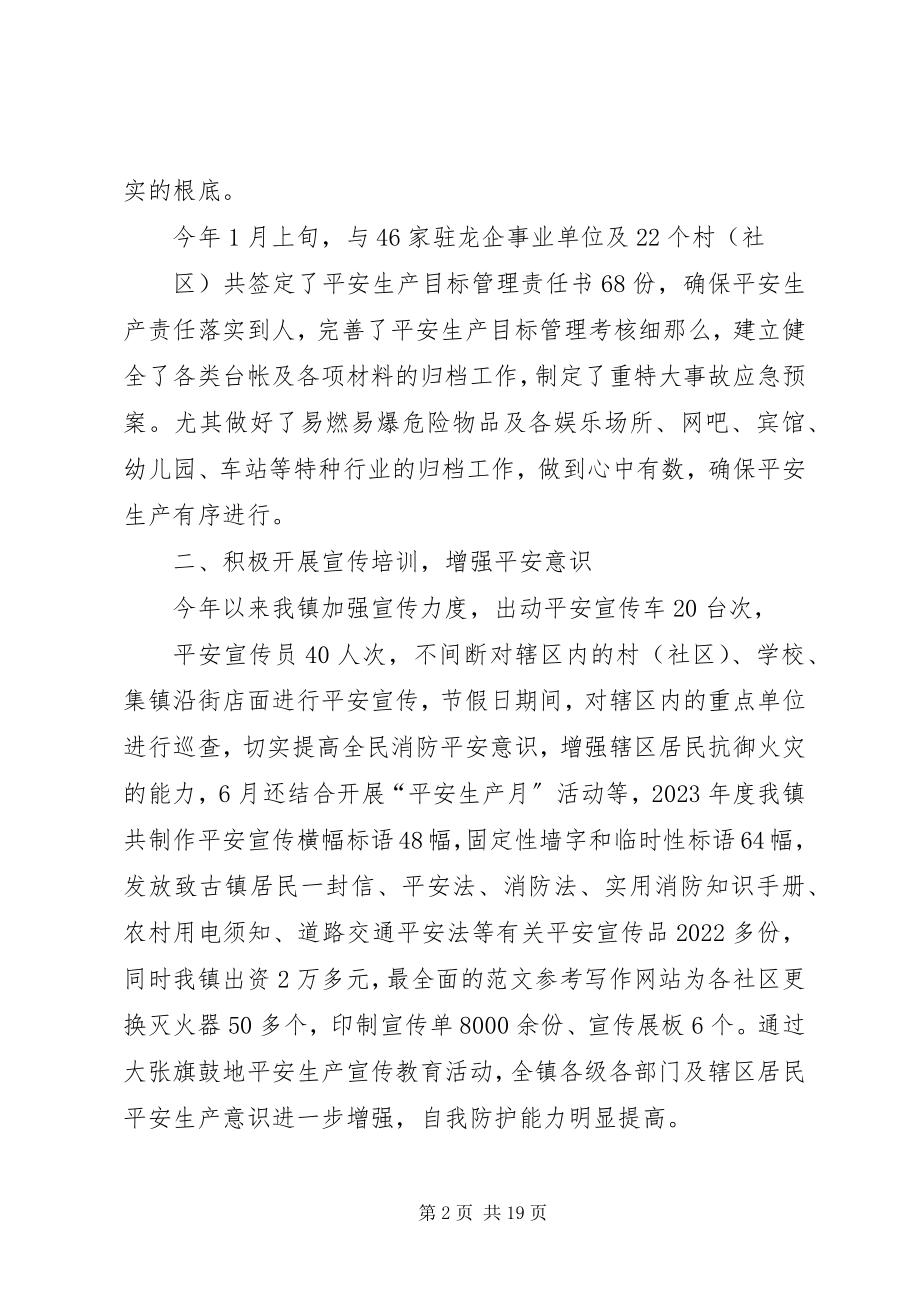 2023年乡镇安监工作个人总结.docx_第2页