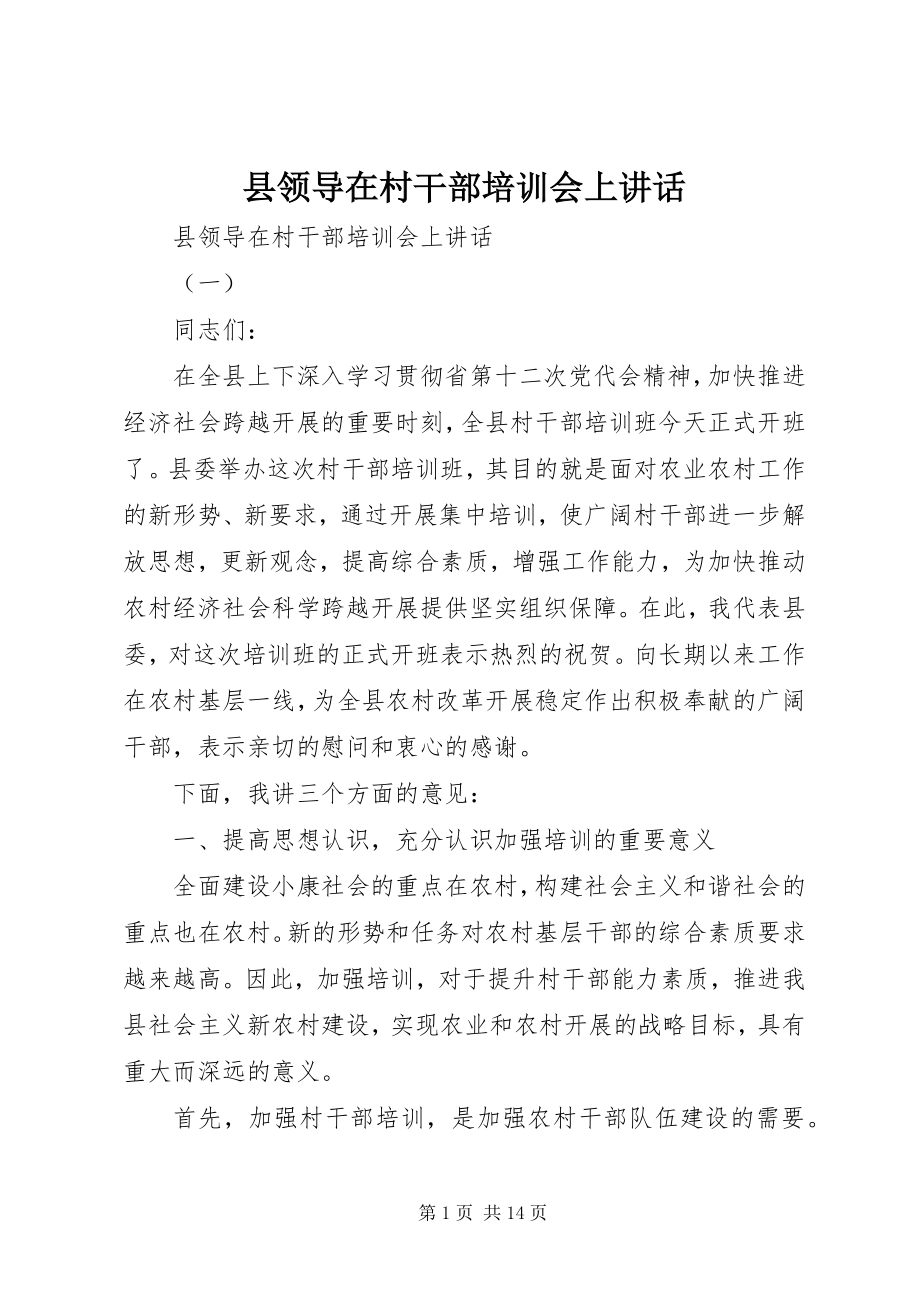 2023年县领导在村干部培训会上致辞.docx_第1页