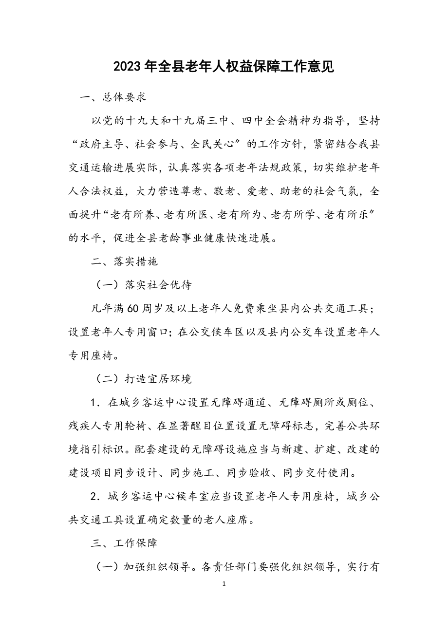 2023年全县老年人权益保障工作意见.docx_第1页