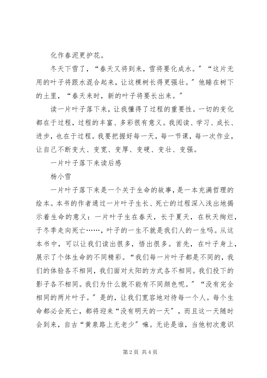 2023年《一片叶子落下来》读后感篇.docx_第2页