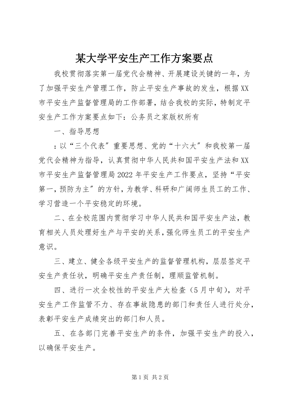 2023年某大学安全生产工作计划要点.docx_第1页