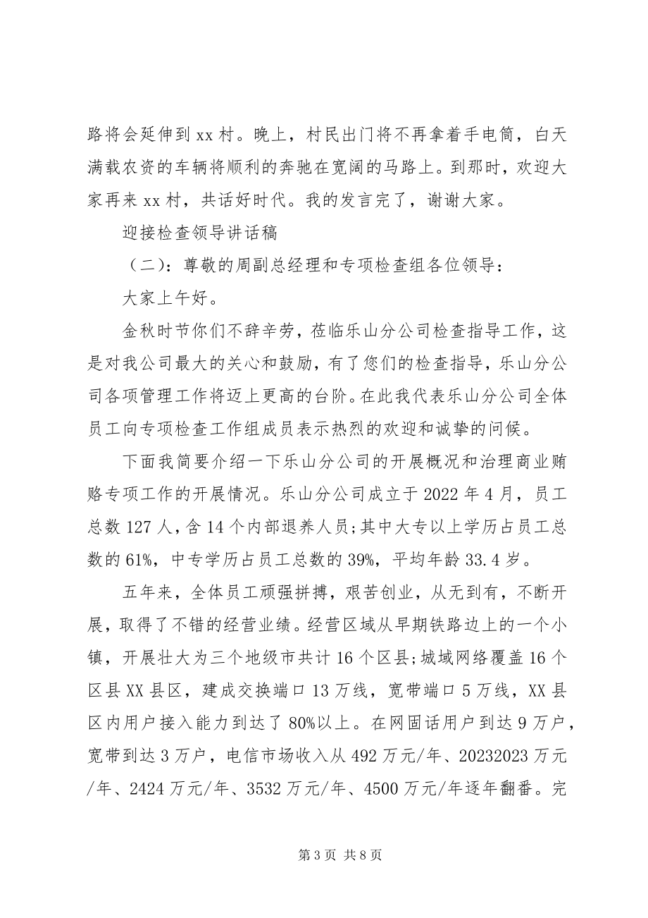 2023年迎接检查领导致辞稿.docx_第3页