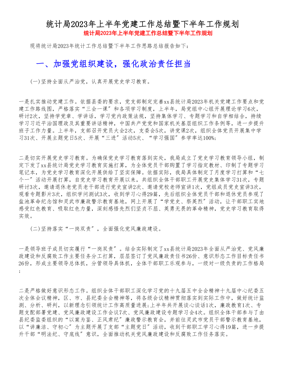 统计局2023年上半年党建工作总结暨下半年工作规划.doc_第1页