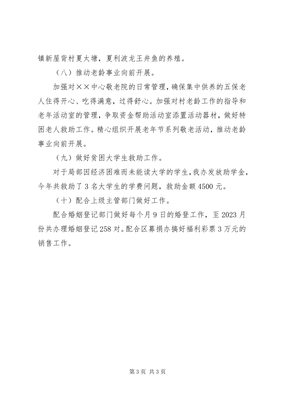 2023年民政办工作总结.docx_第3页