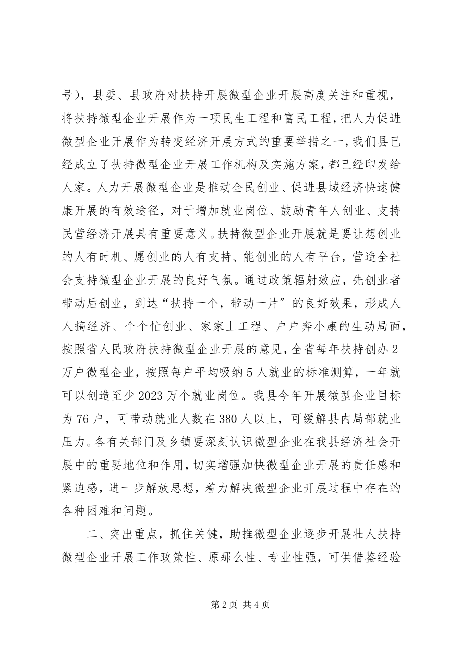 2023年在全县扶持微型企业发展工作动员会议的致辞.docx_第2页