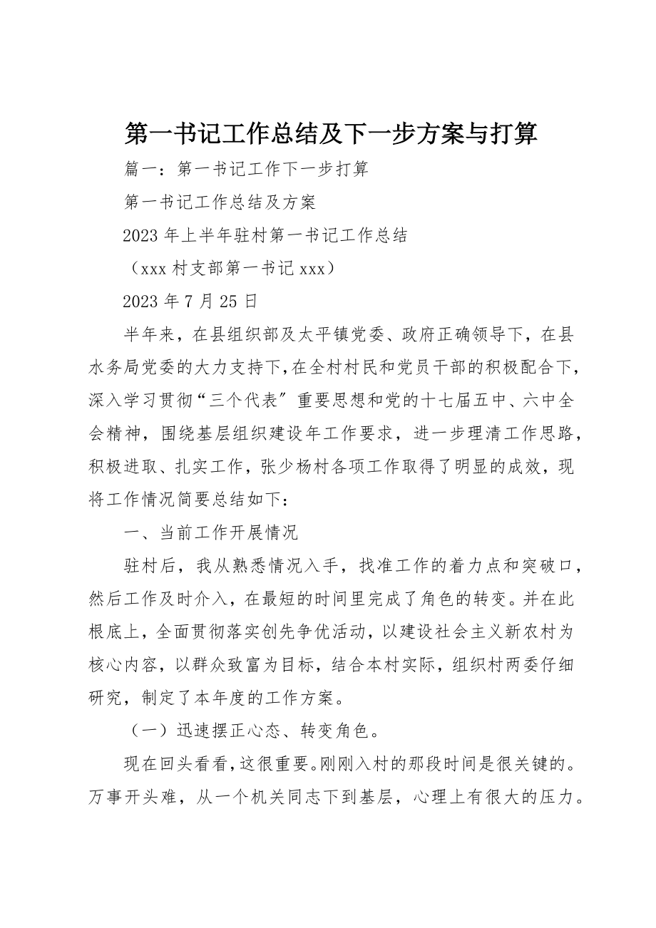 2023年第一书记工作总结及下一步计划与打算新编.docx_第1页