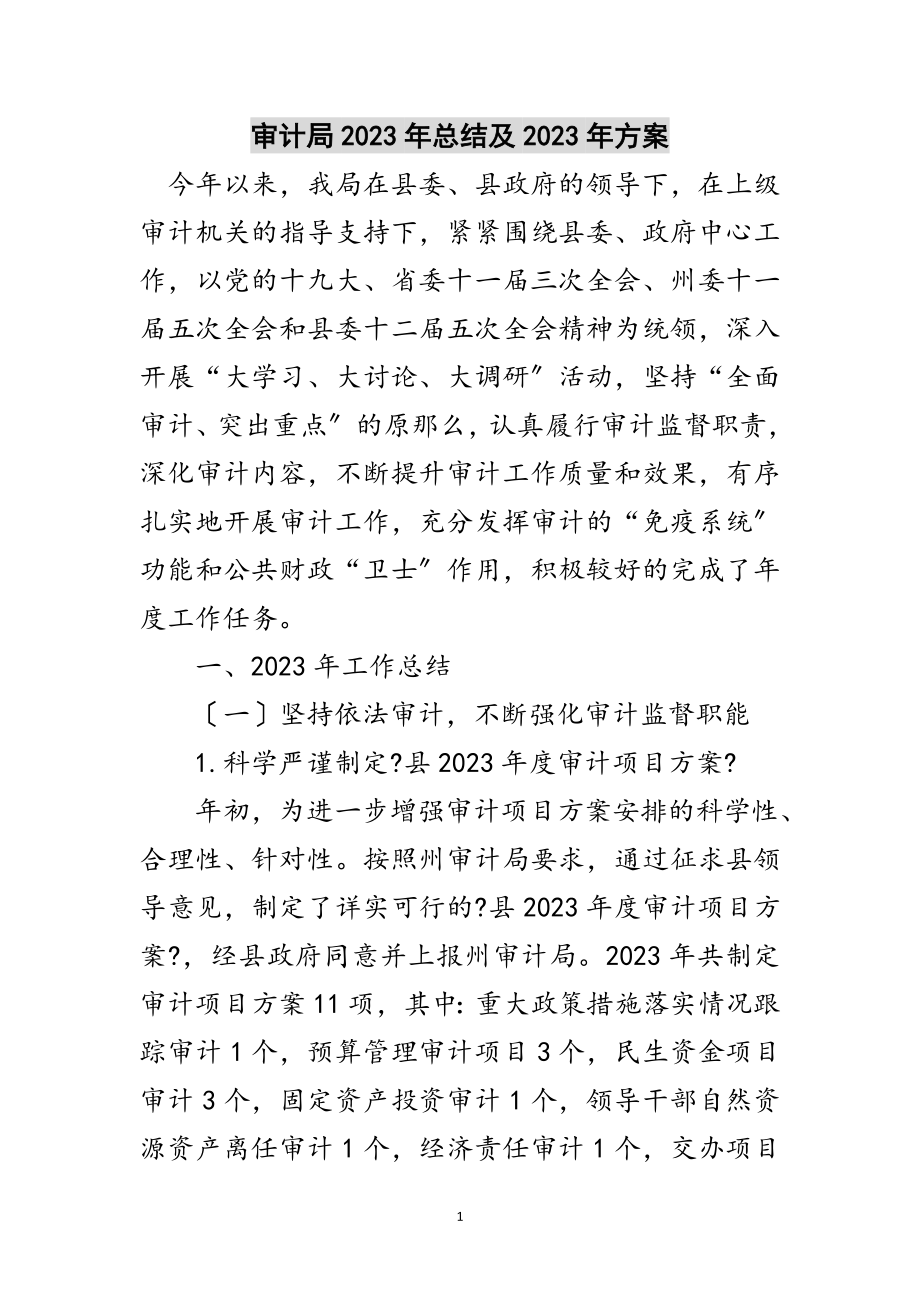 2023年审计局年总结及年计划范文.doc_第1页