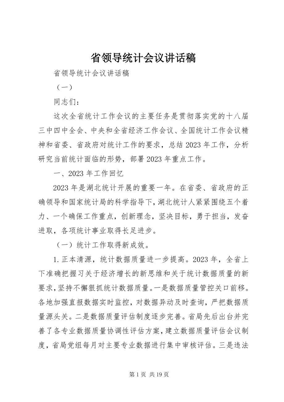 2023年省领导统计会议致辞稿.docx_第1页