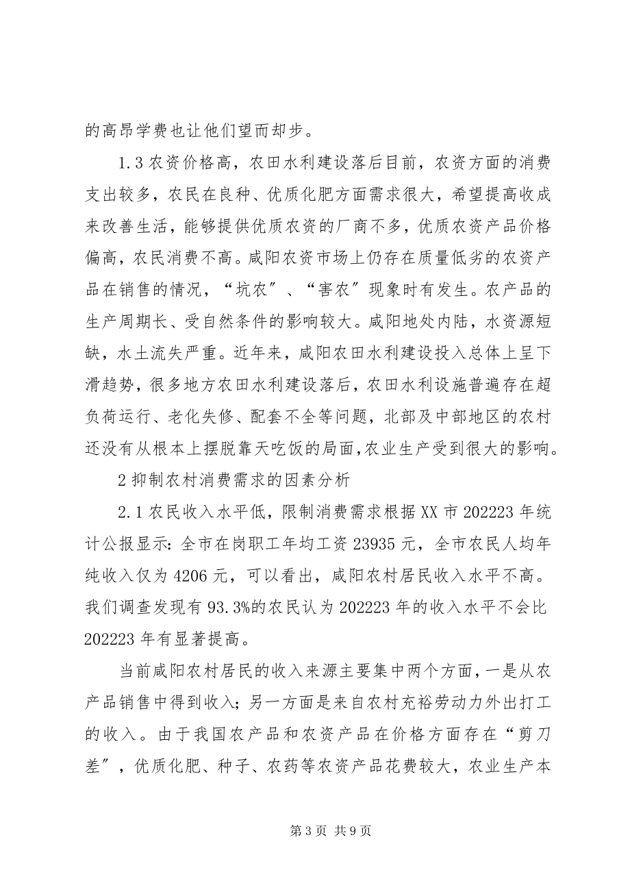 2023年扩大咸阳农村消费需求的对策透析.docx_第3页