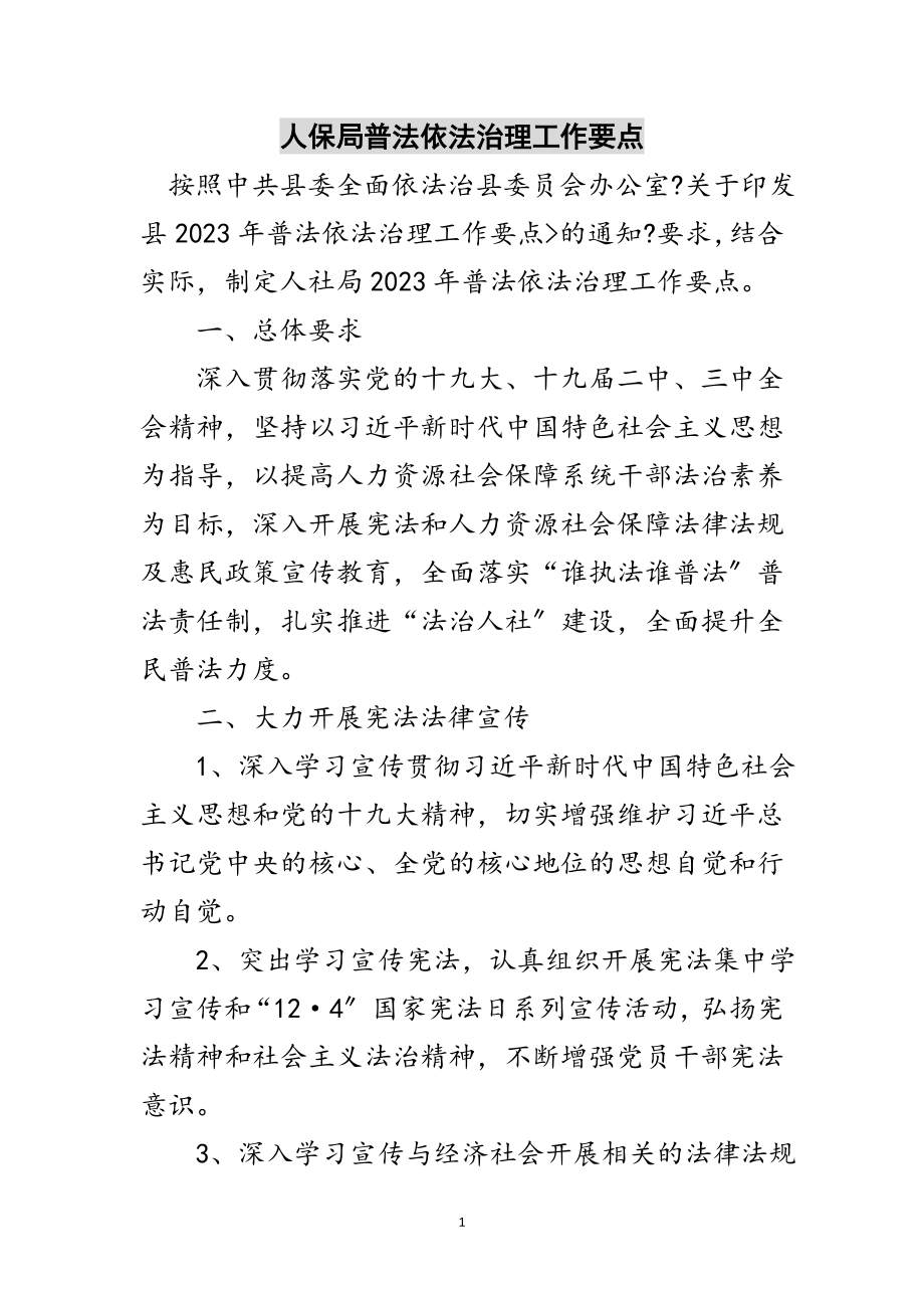 2023年人保局普法依法治理工作要点范文.doc_第1页