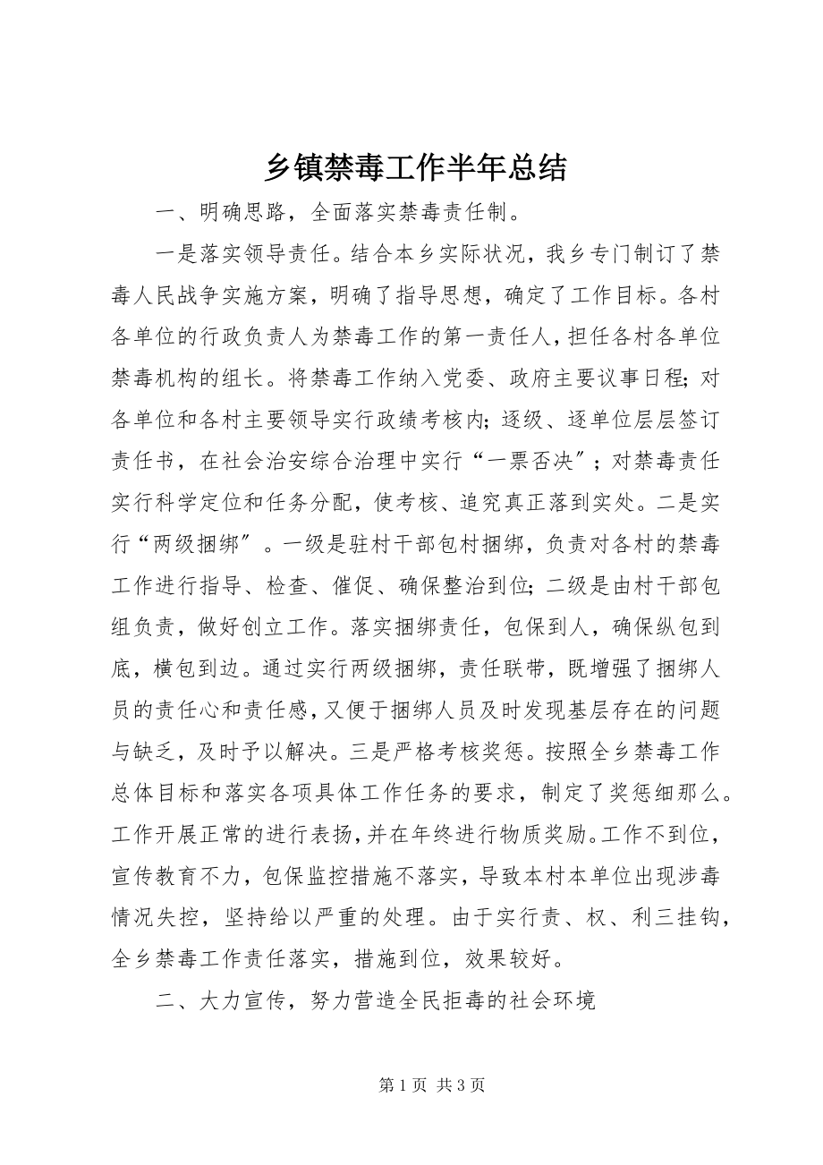 2023年乡镇禁毒工作半年总结.docx_第1页