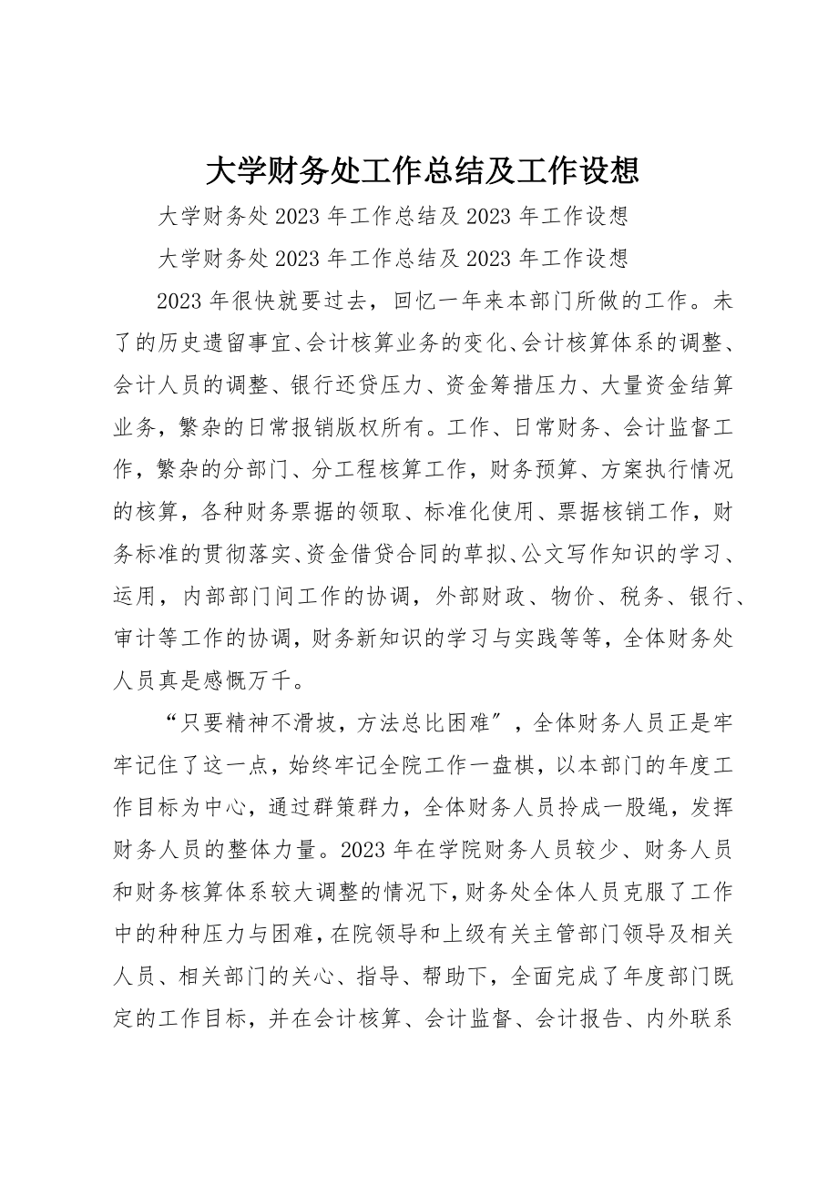 2023年大学财务处工作总结及工作设想新编.docx_第1页