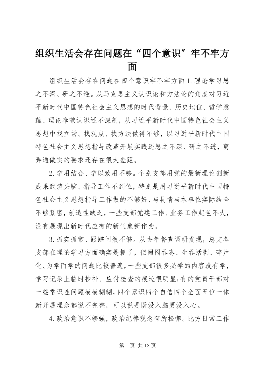 2023年组织生活会存在问题在“四个意识”牢不牢方面.docx_第1页