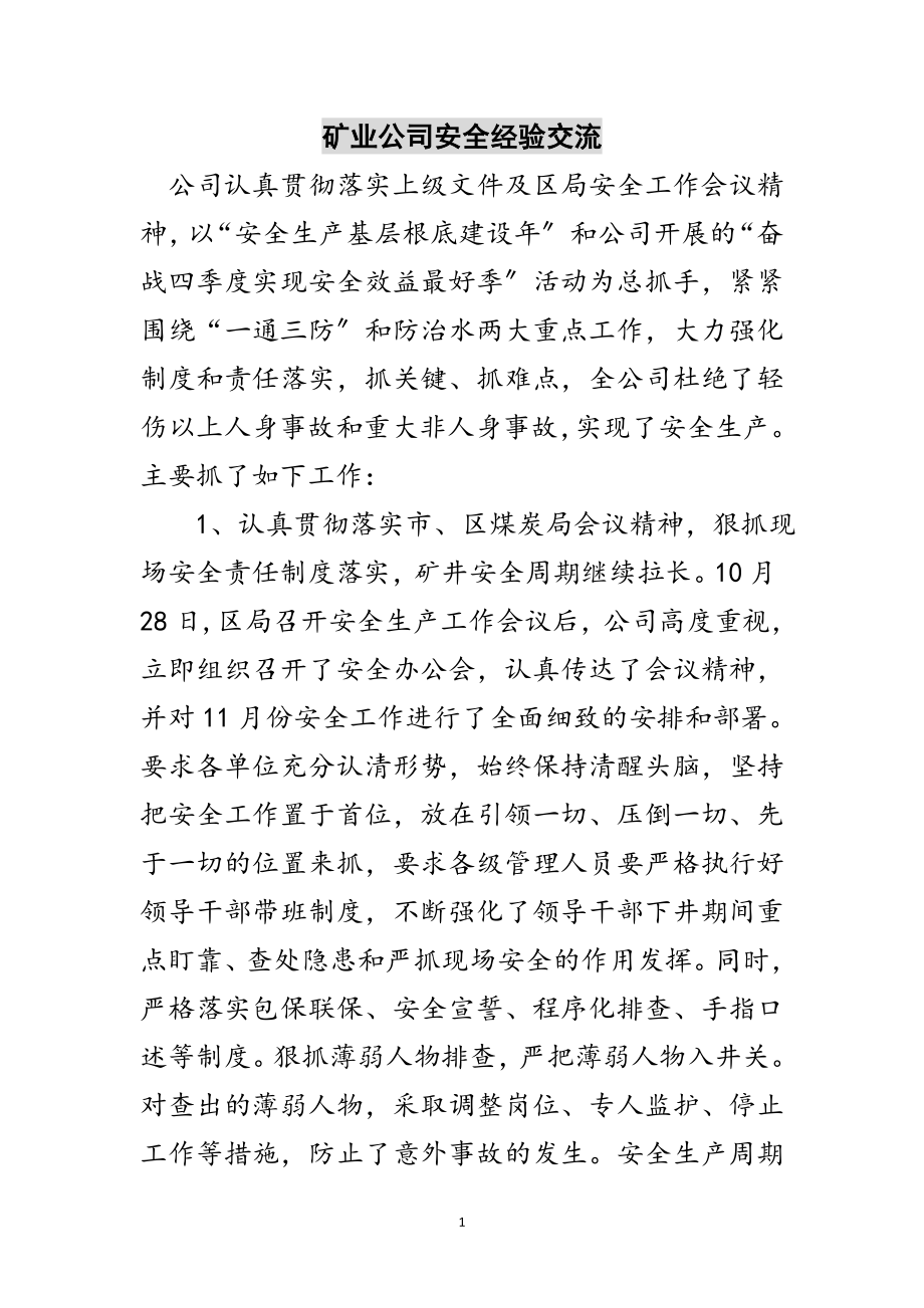 2023年矿业公司安全经验交流范文.doc_第1页