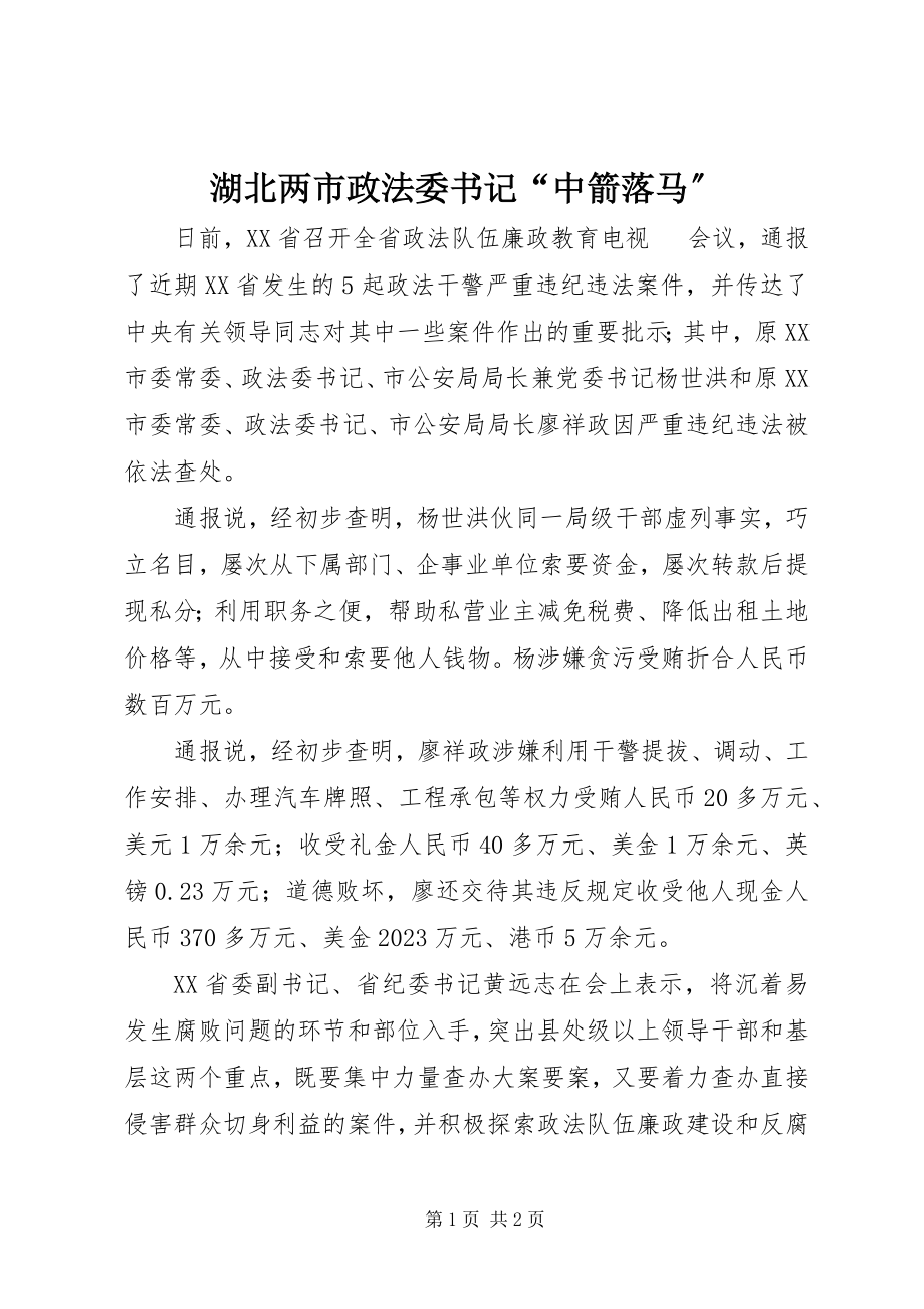 2023年湖北两市政法委书记“中箭落马”.docx_第1页