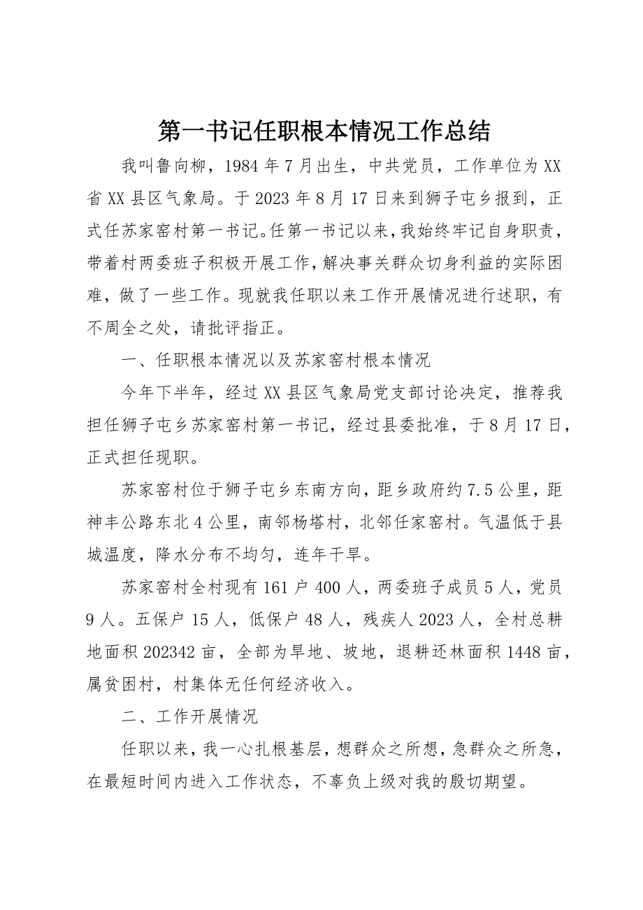 2023年第一书记任职基本情况工作总结新编.docx_第1页