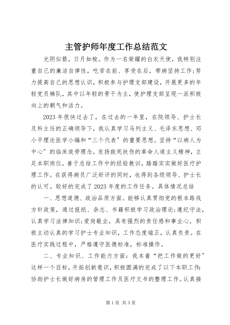 2023年主管护师年度工作总结.docx_第1页