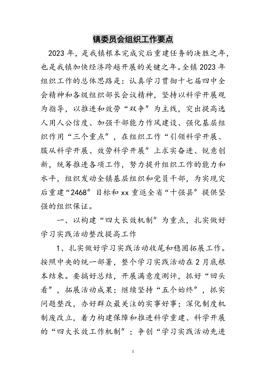 2023年镇委员会组织工作要点范文.doc_第1页