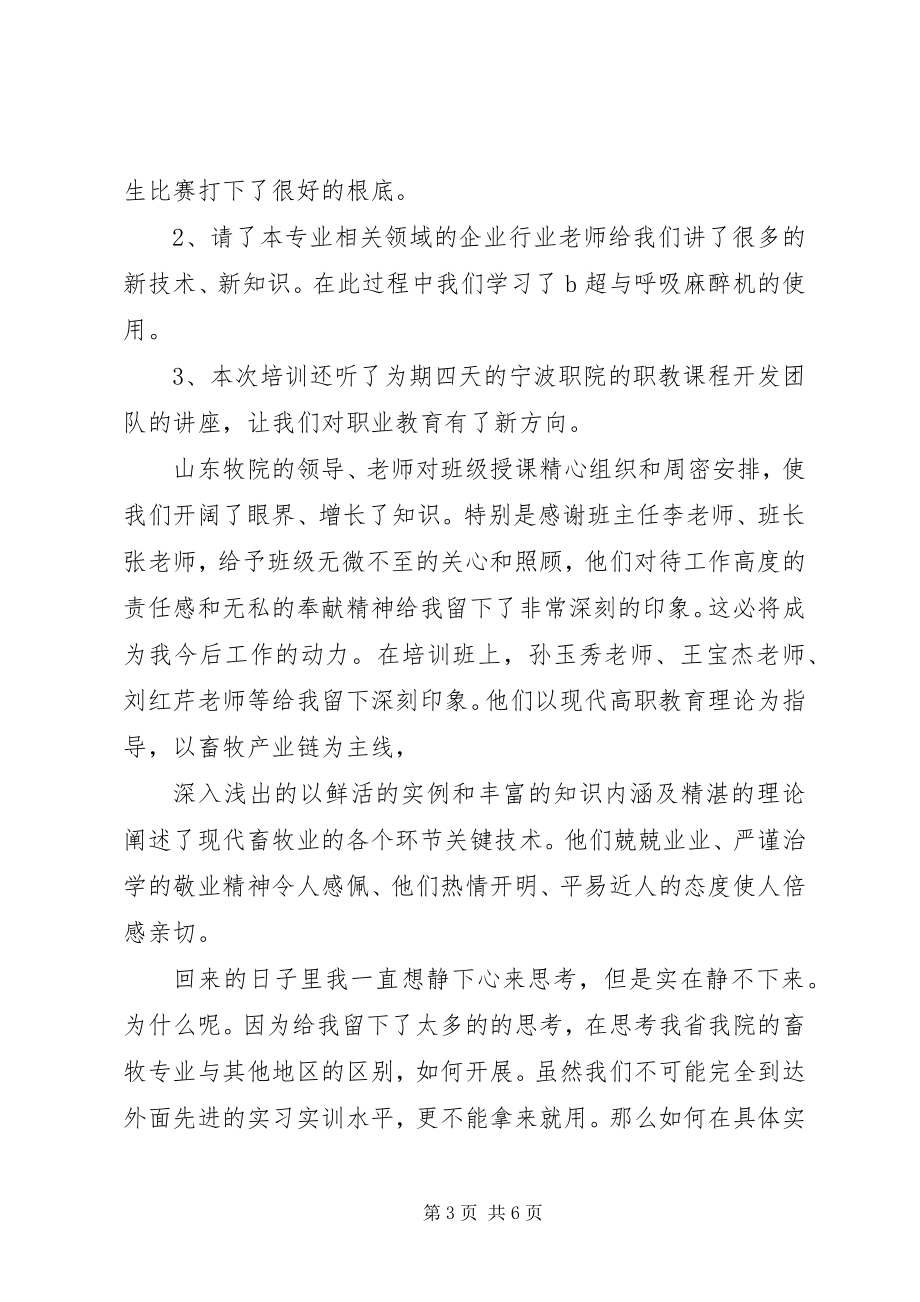 2023年参加国家矿安计量站培训总结新编.docx_第3页